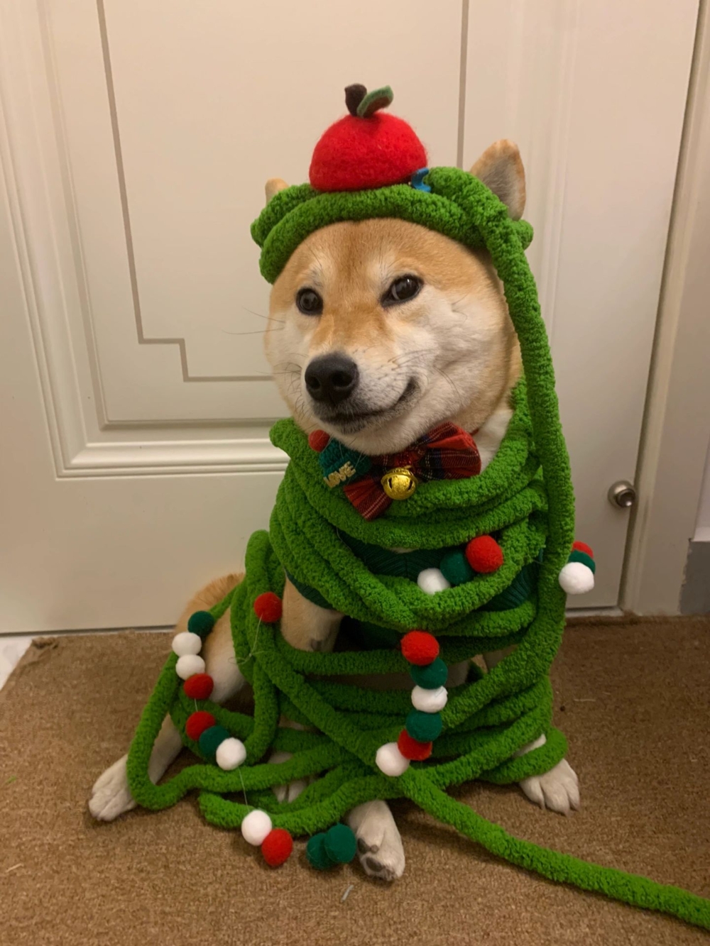 奴才：不喜歡嗎？