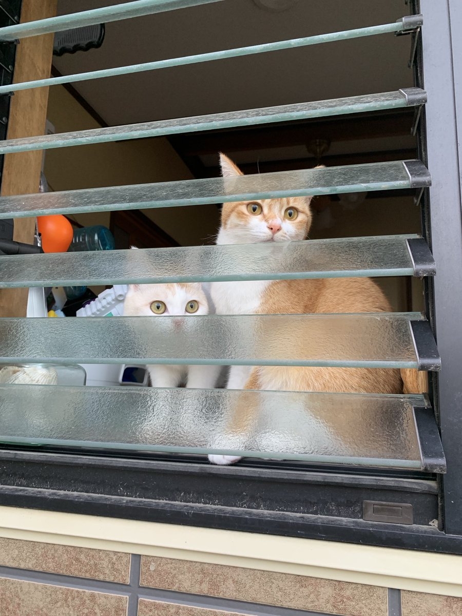 奴才：有你們來迎接我回家我更開心啊