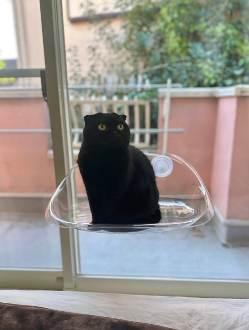 奴才：確實很襯托