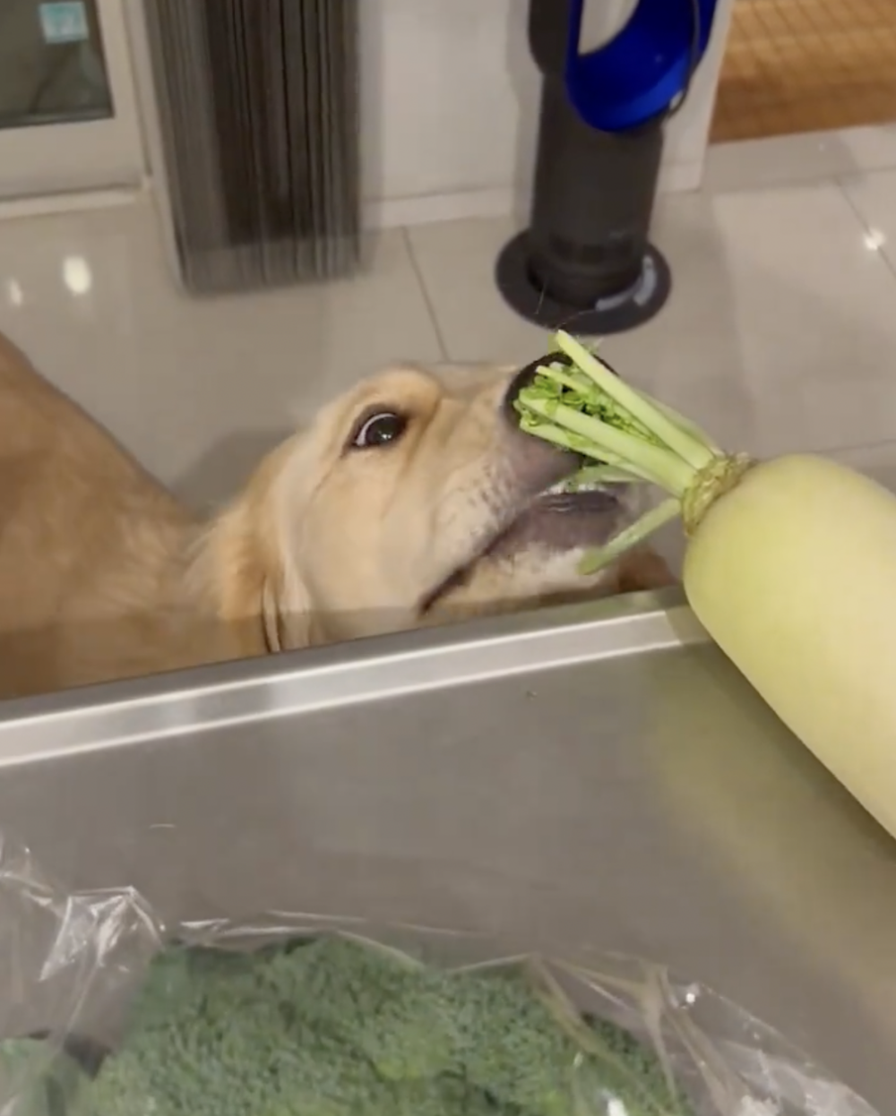 奴才：不是小氣的問題