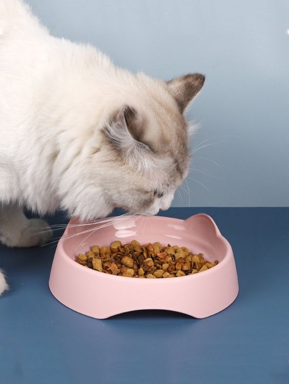 人工提煉的Vitamin K會導致貓咪的器官中毒。