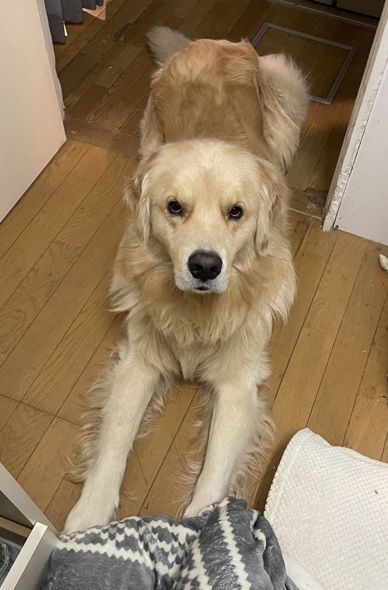 奴才：我肯定不會忘記噠