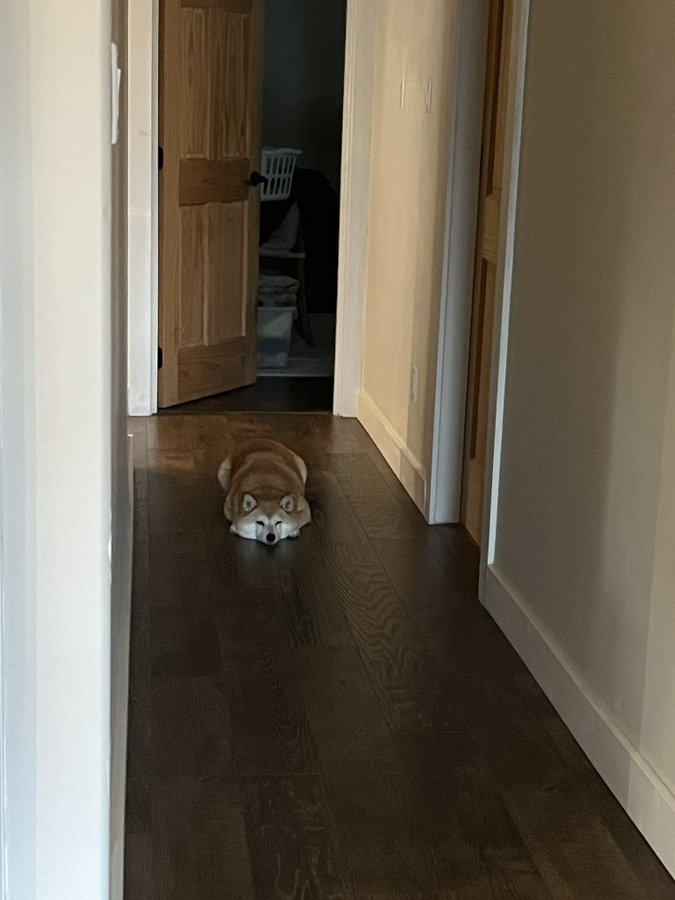 奴才：就遲了那麼一點點而已囉