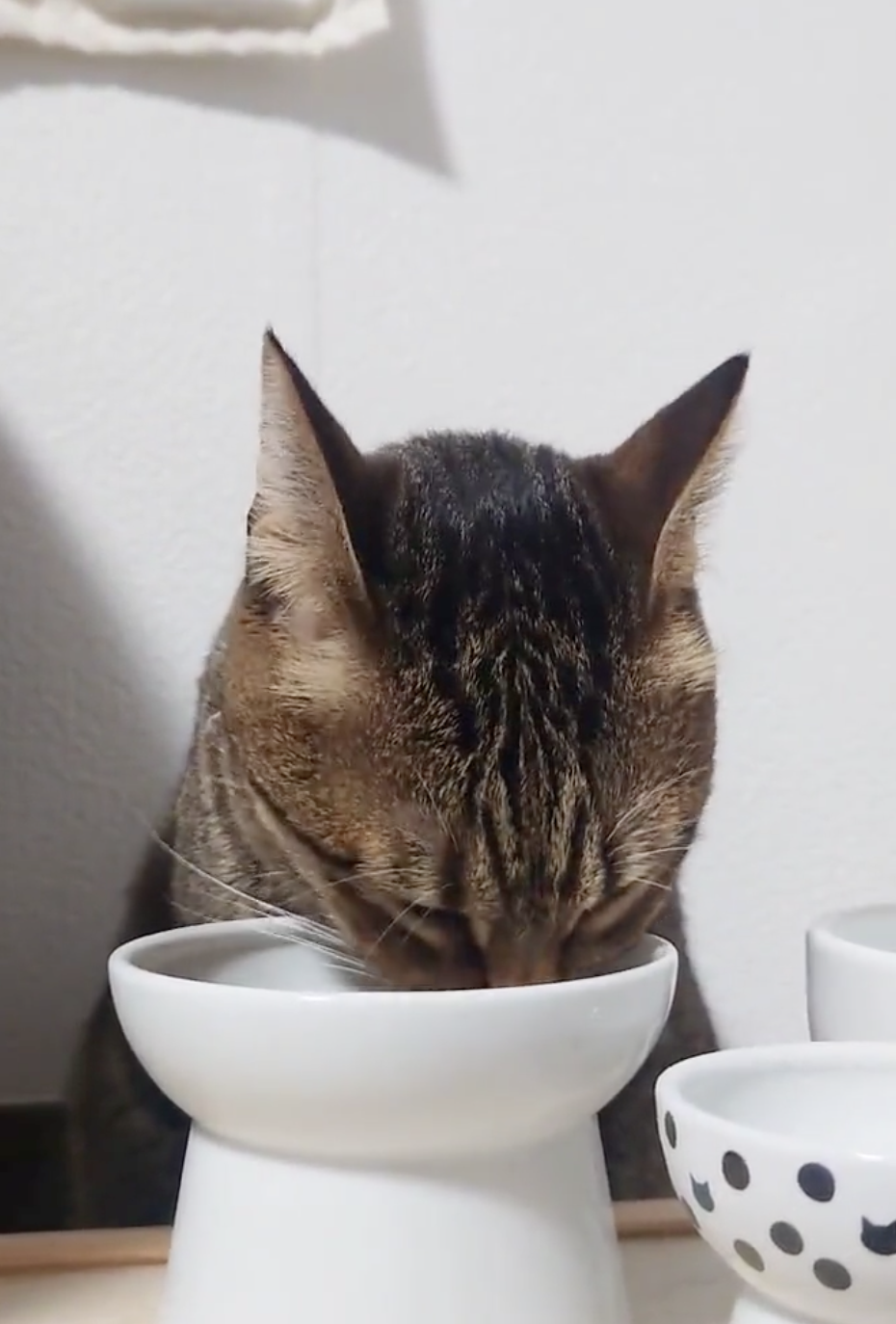 奴才：我就不刪！