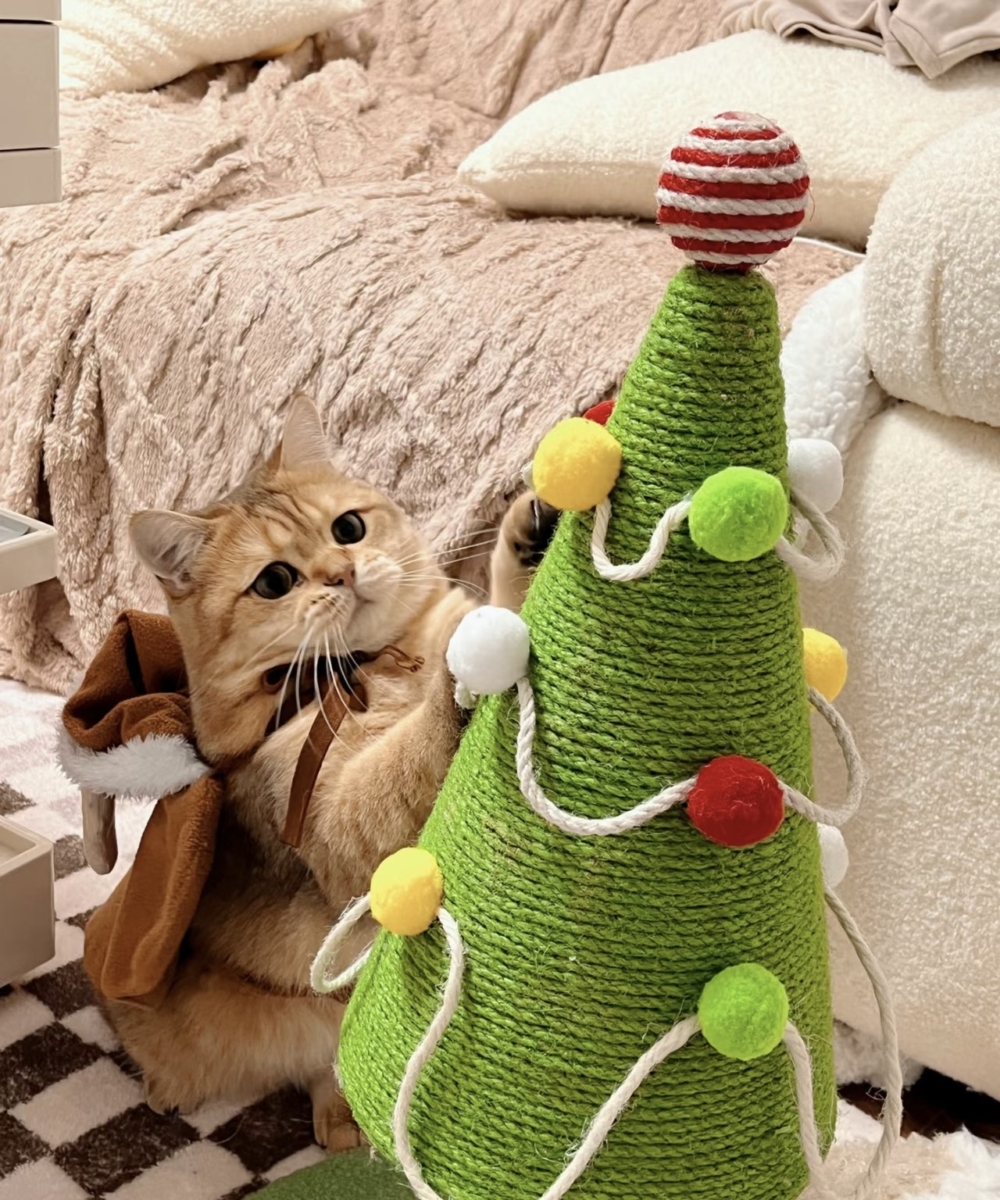 奴才：這是當然的啊