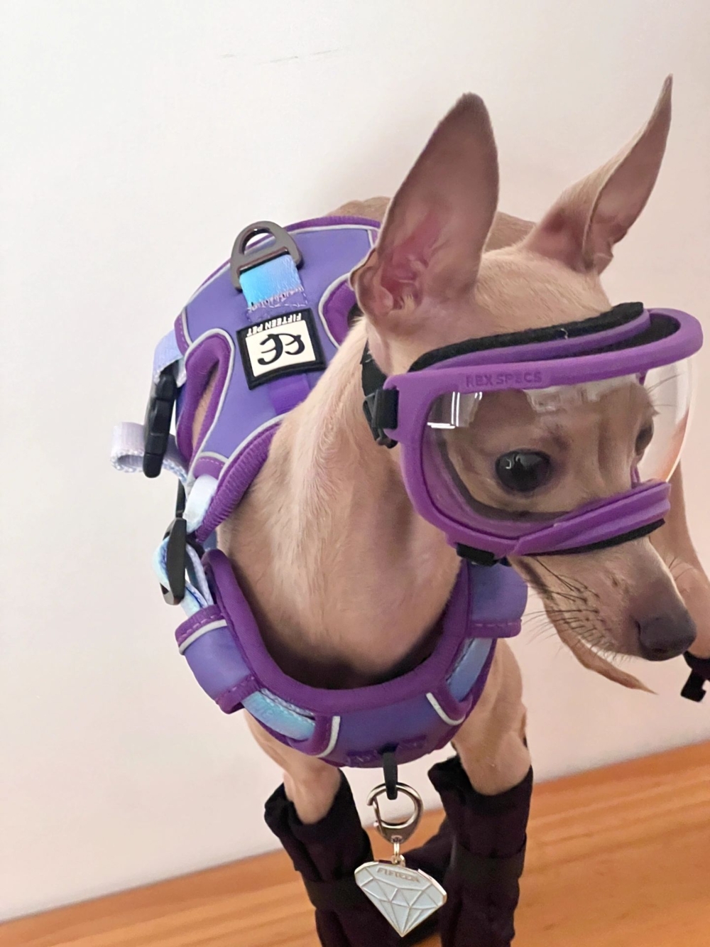 奴才：沒事，都是我該做的