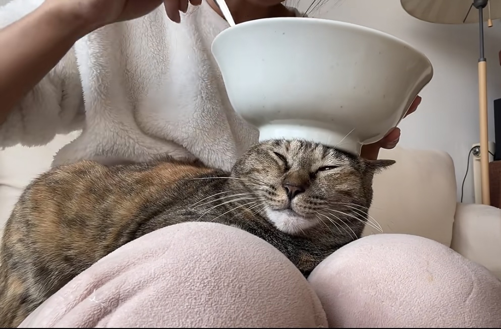 奴才：你別在那邊碎碎念啦