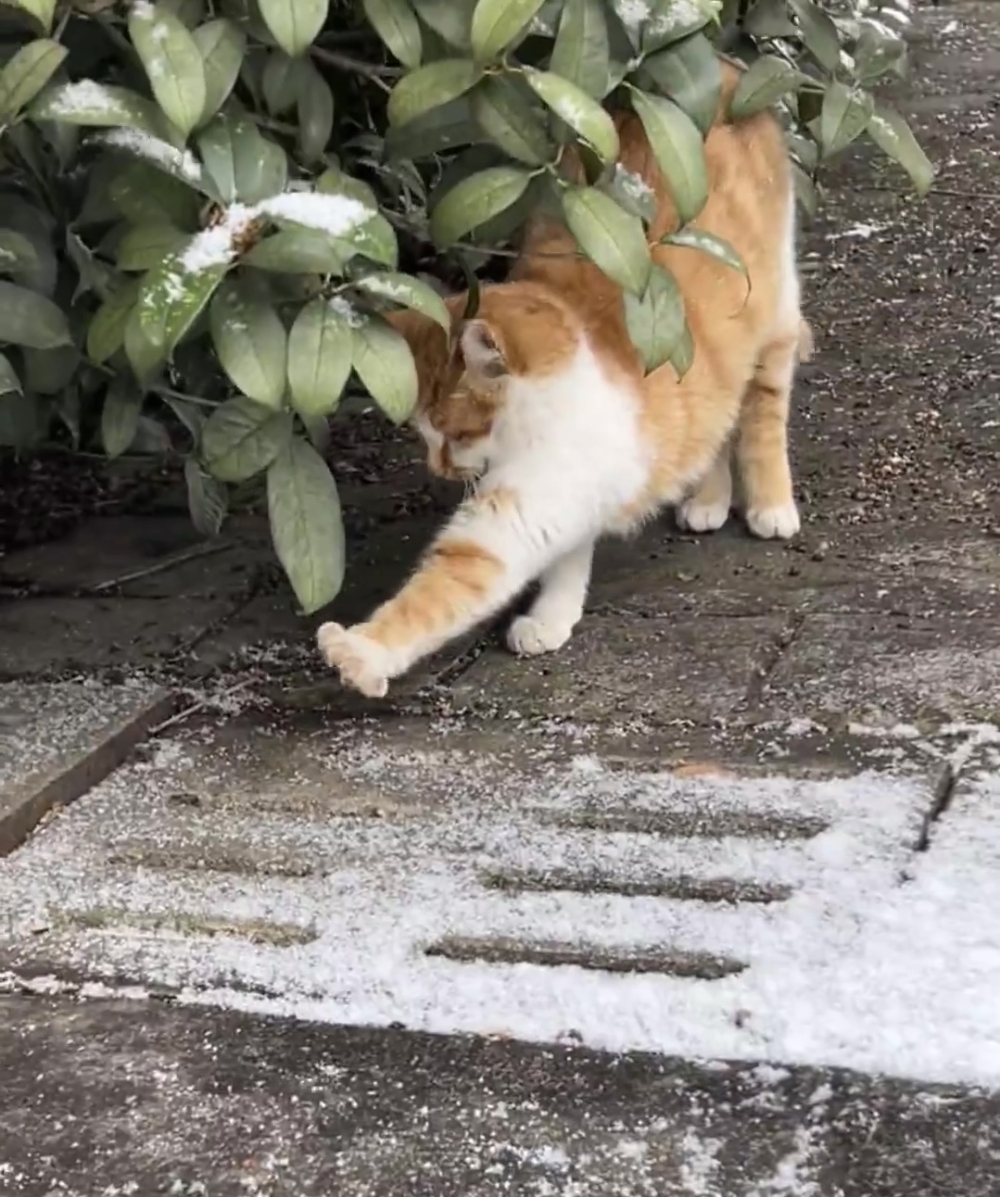 同學：別再到處遊蕩啦