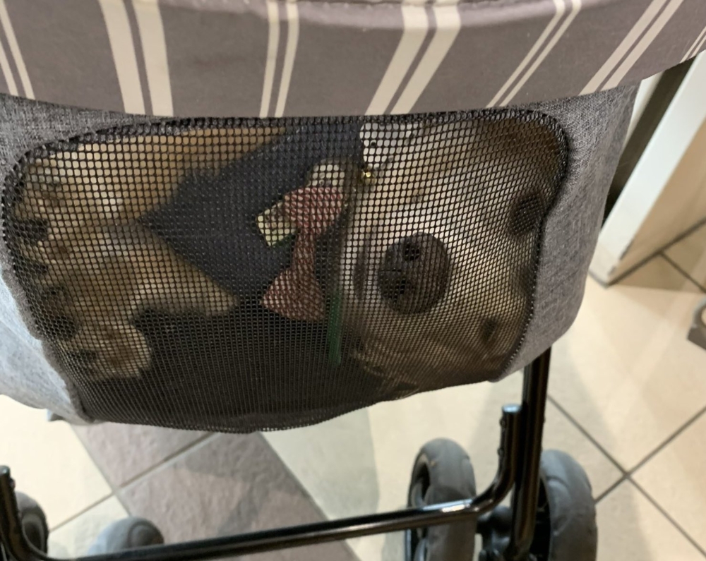 奴才：知道你很聽話啦