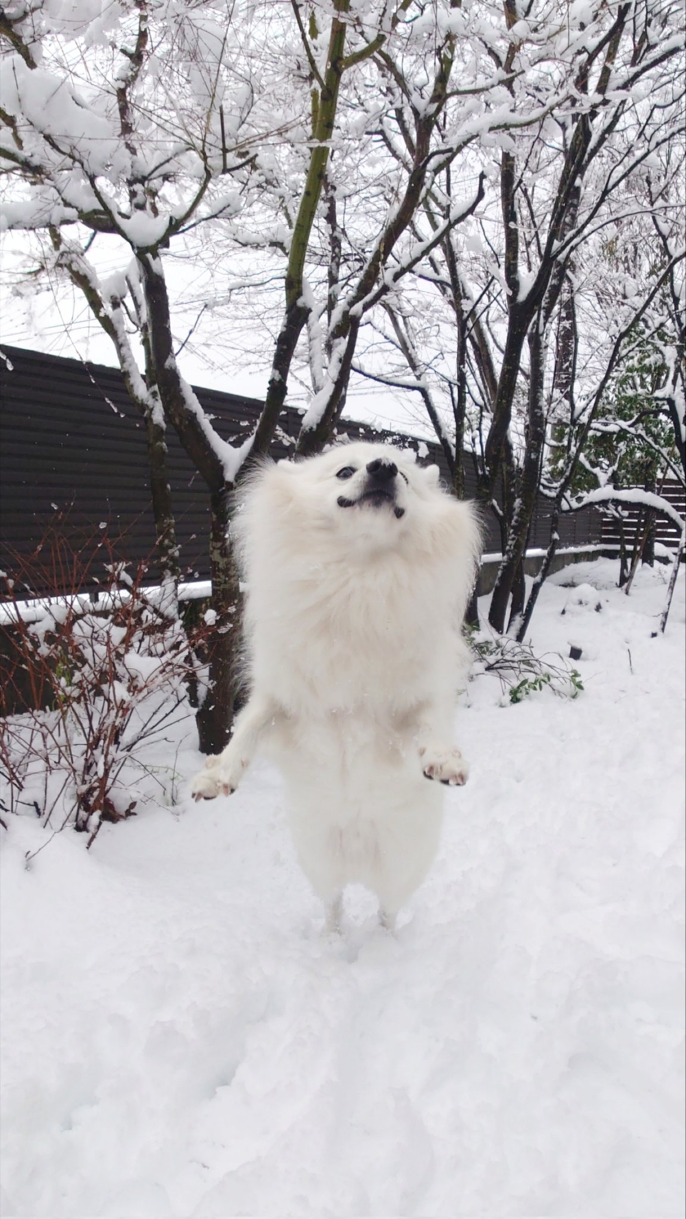 奴才：想睡就睡吧