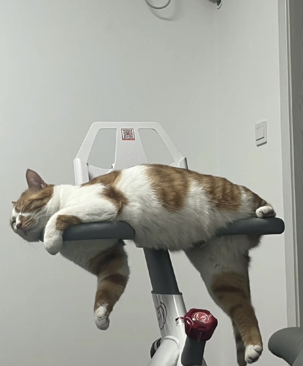 奴才:???這不是我買的嗎?