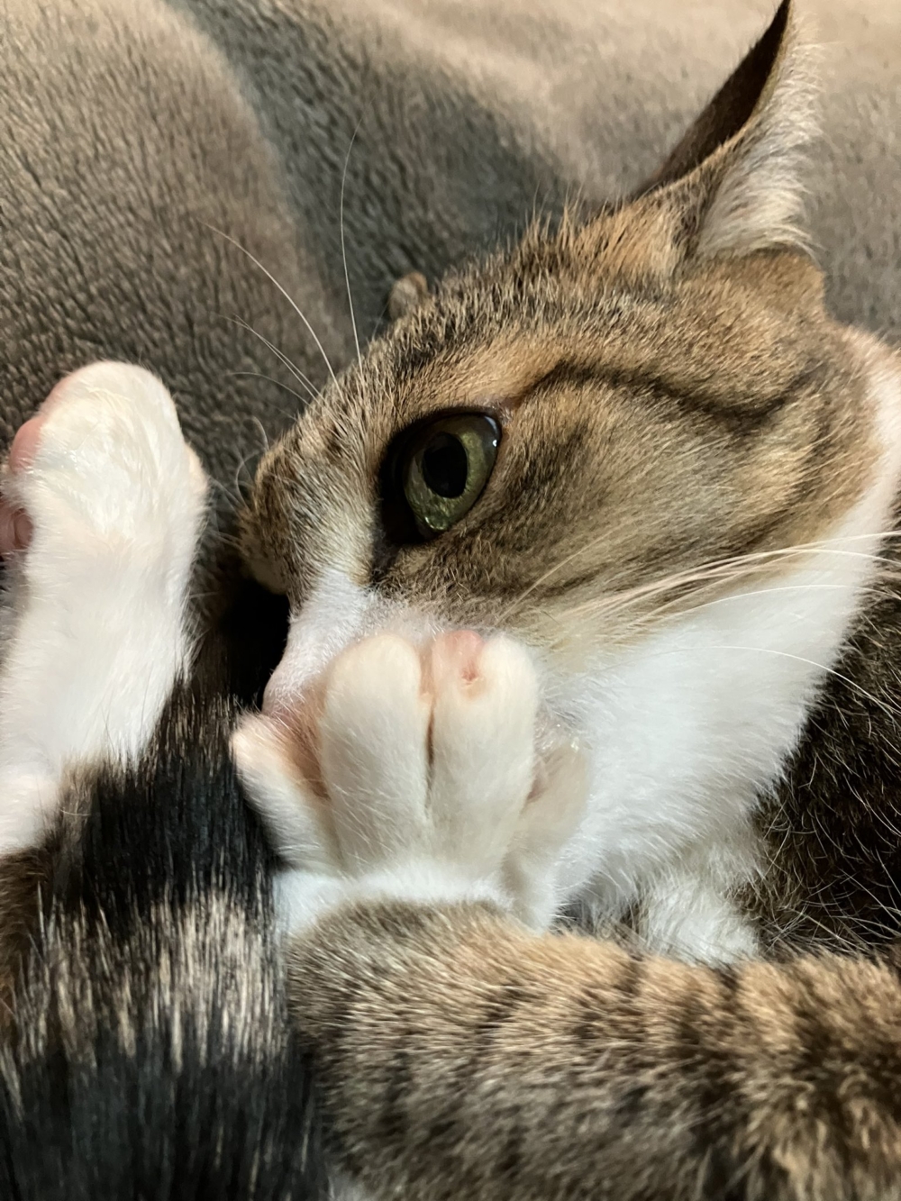 吸得忘我了啦～