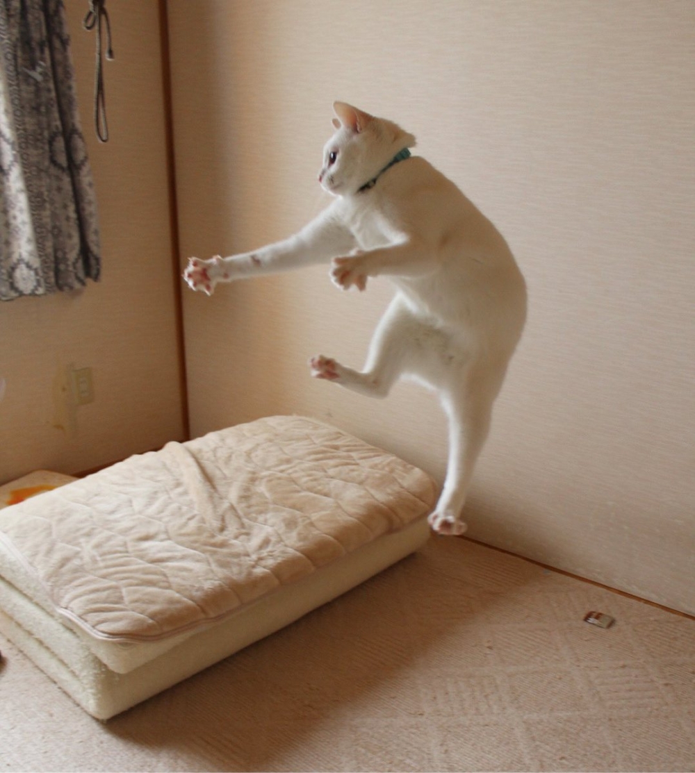 奴才：那你隨意囉