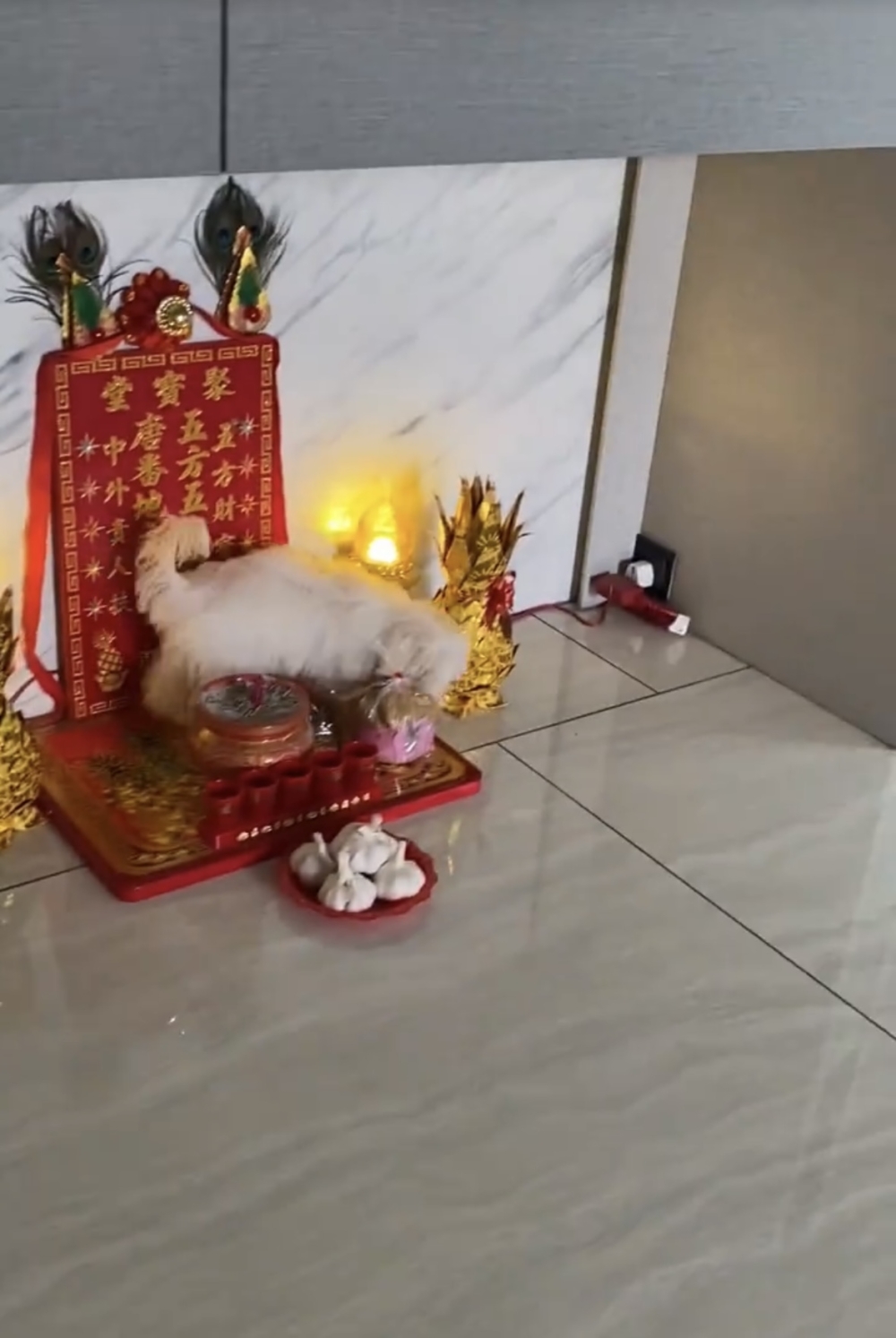 奴才：小心睡覺的時候「土地公」來打你屁屁喔