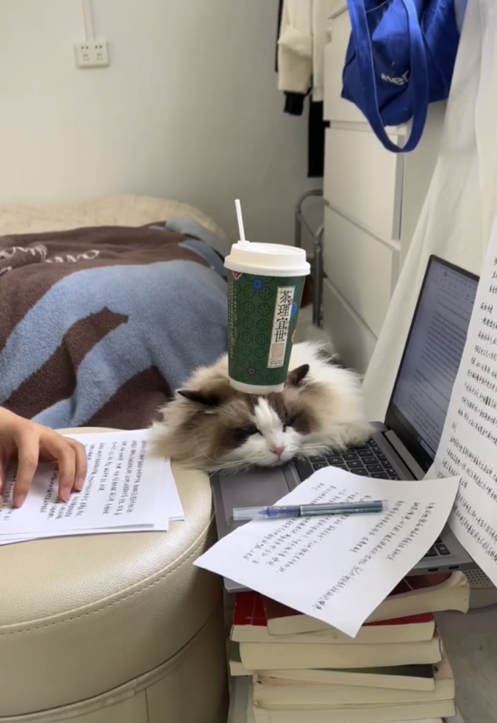 奴才：你真是大人有大量啊