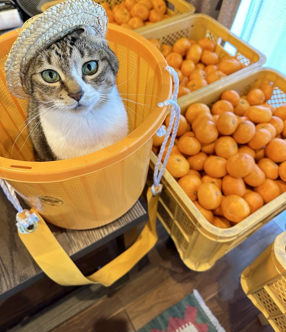 奴才：還真是說不過你啊