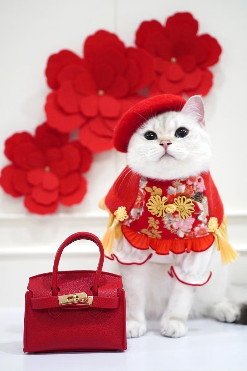 Ipet紅色喜慶新年圍巾。