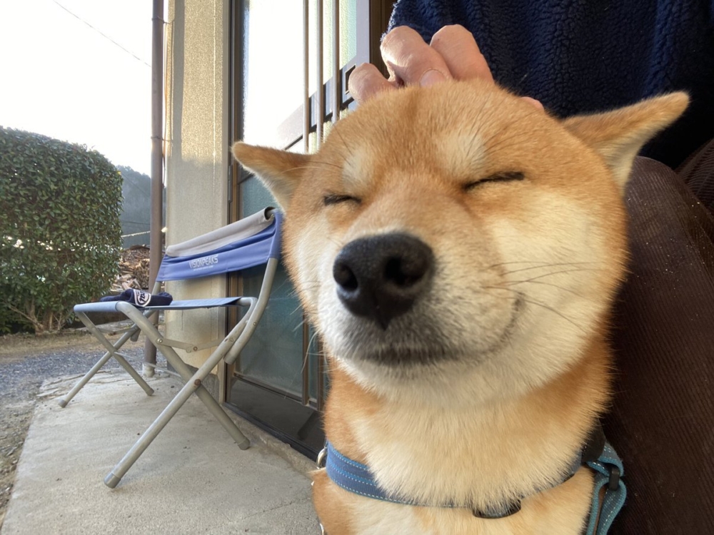 奴才:好不捨喔