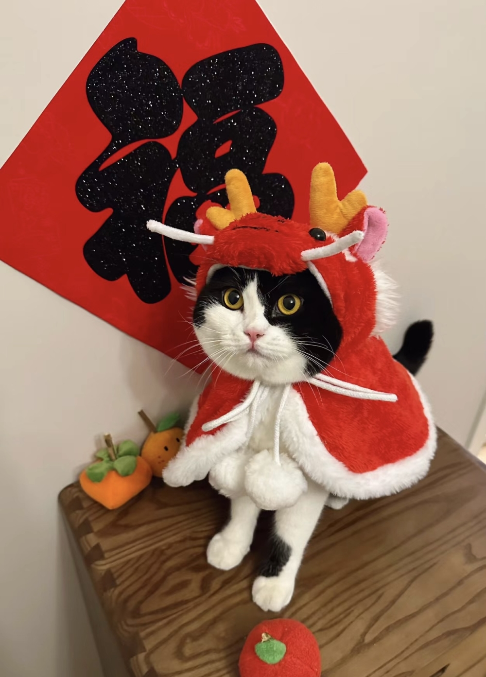 奴才：加上裝扮更霸氣了