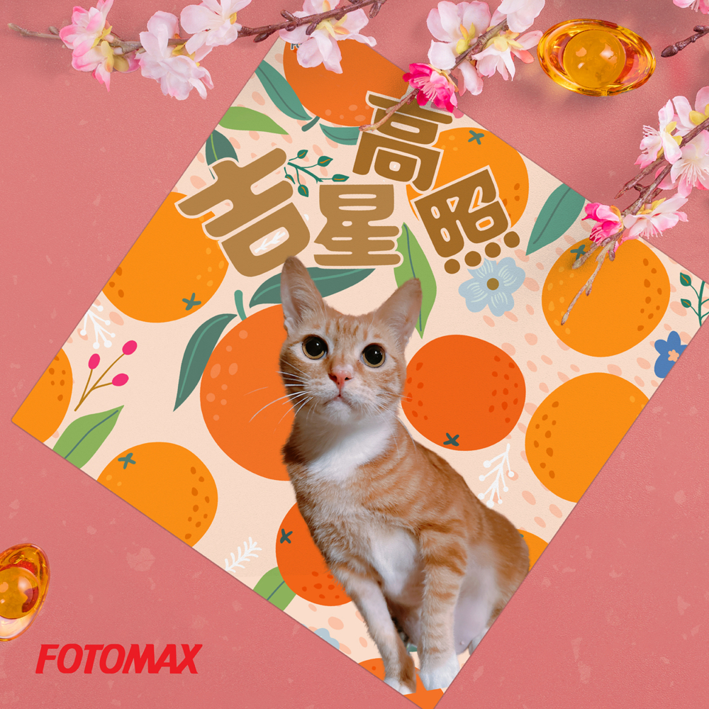 快圖美閃底得意寵物菱形揮春｜HK$58