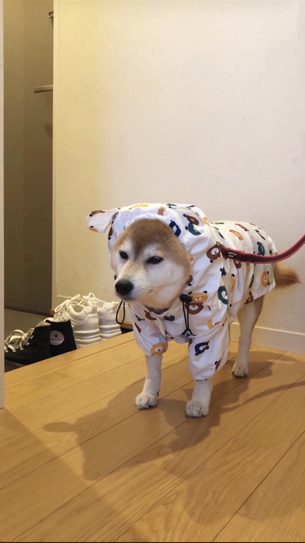 奴才：我也不阻止你打開暖爐啦