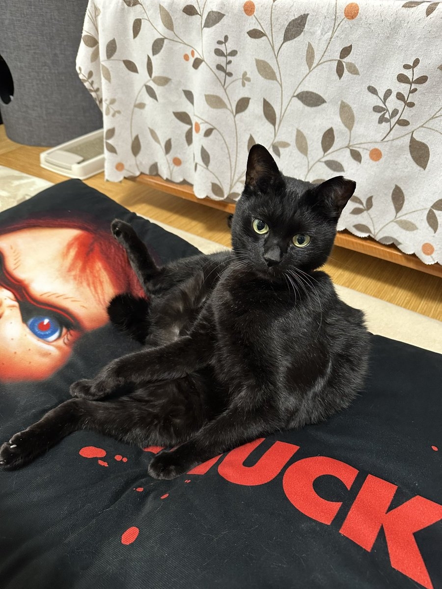 奴才：不會啦！很好看