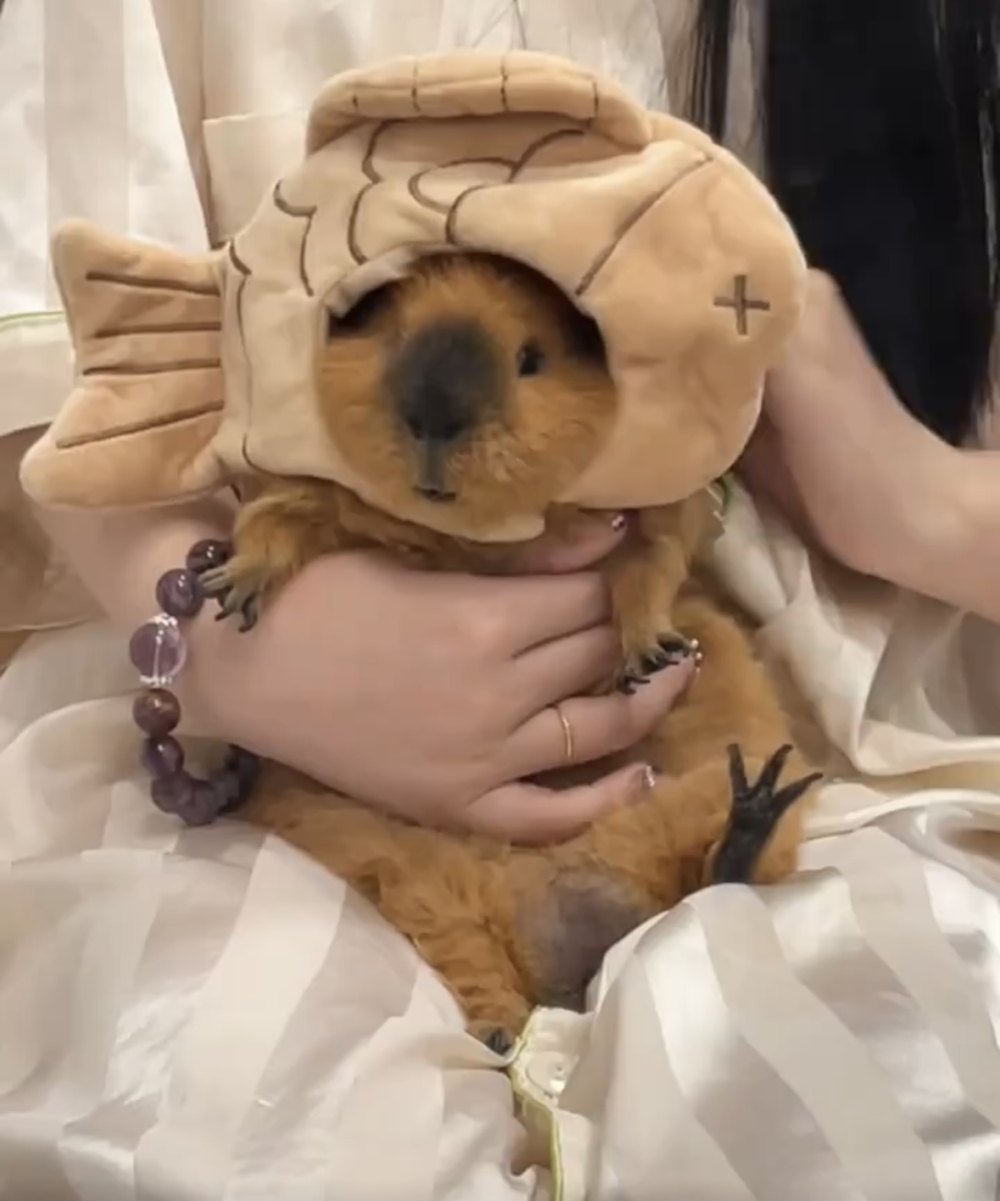 奴才:真給我面子啊