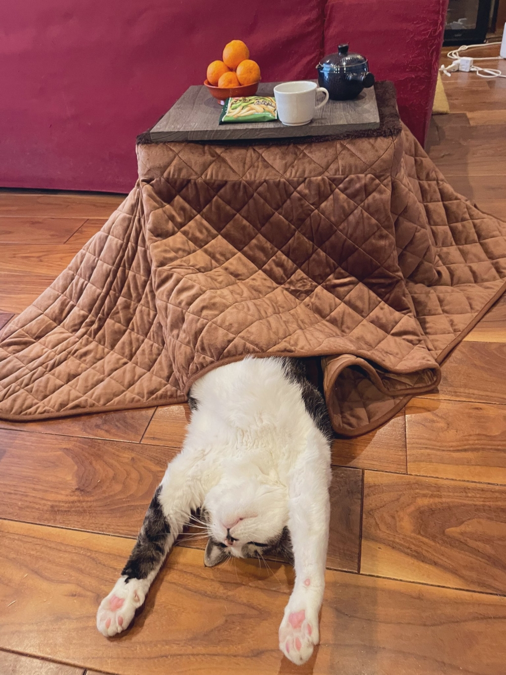 奴才：你好沒有形象喔