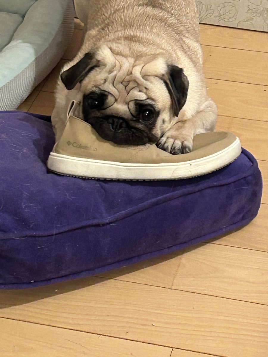 奴才：那也不行