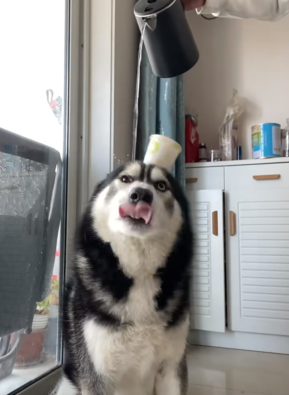 奴才：敗在最後一刻...