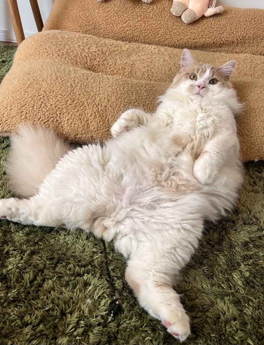 奴才…你們怎麼來了