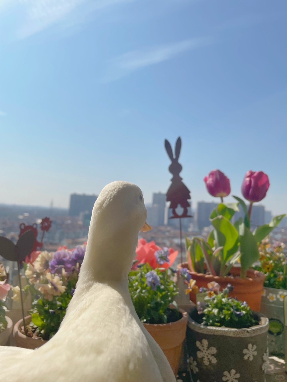 奴才：只要你喜歡我一定要上心啦！