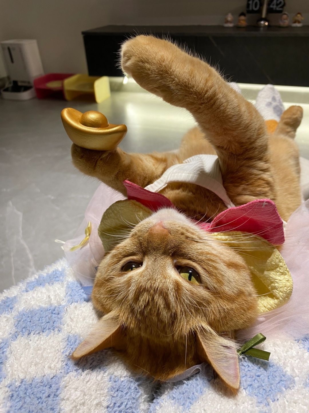 奴才:你什麼意思喔