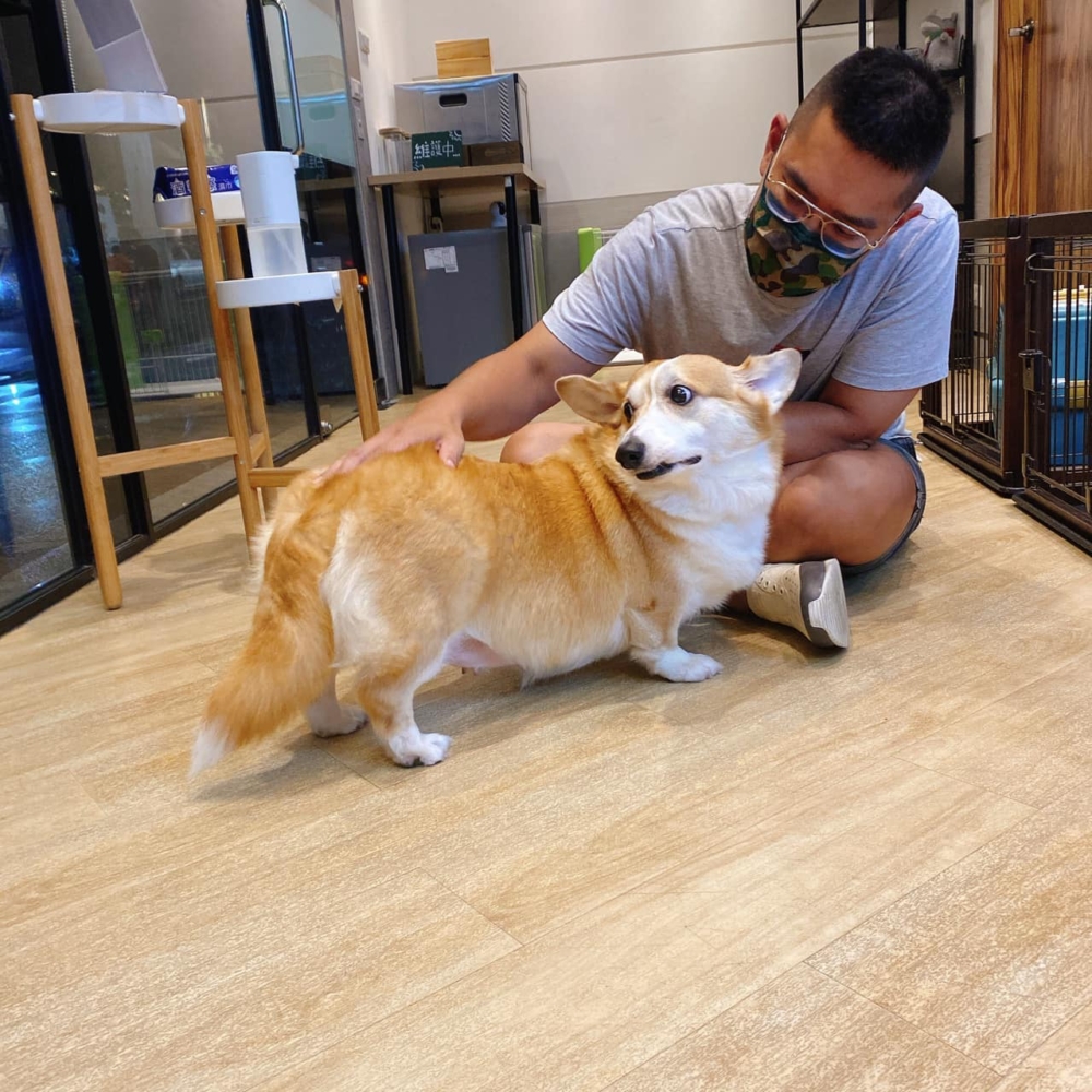 觀察工作人員對寵物的態度。