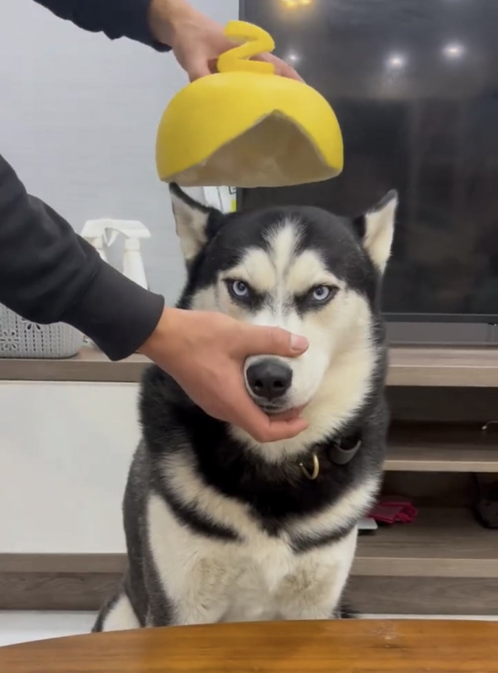 奴才：很可愛捏