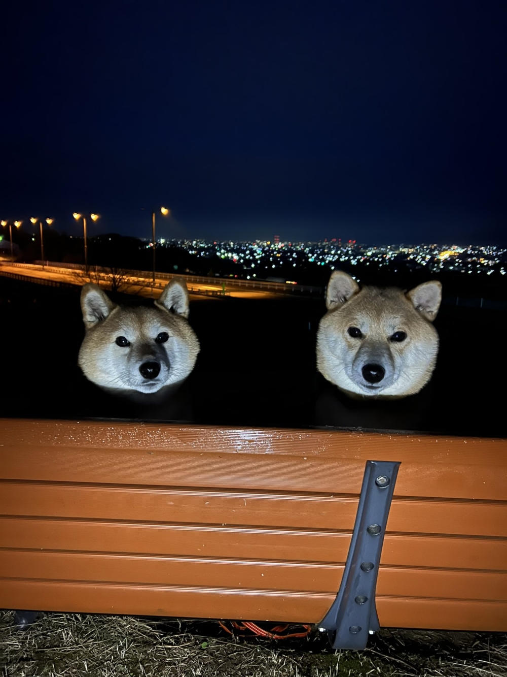 奴才：這是事實啊