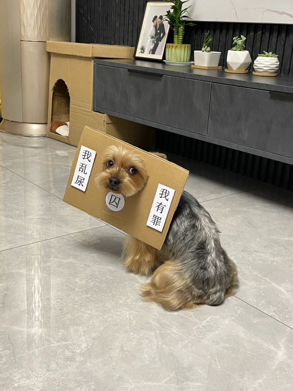 奴才:我還沒跟你算帳捏