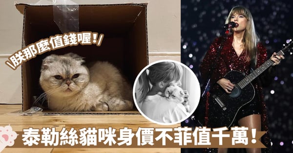 泰勒絲愛貓「Olivia」居然躋身全球寵物富豪榜前三，身價驚人達千萬！比男友高出一倍之多捏～