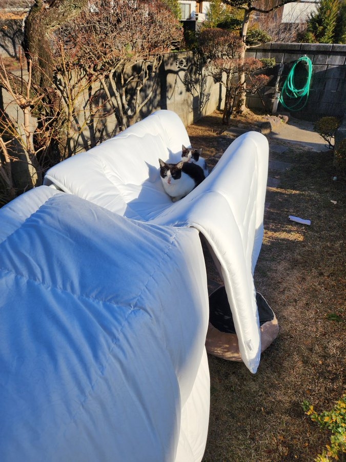 奴才：對～不被吹飛就好