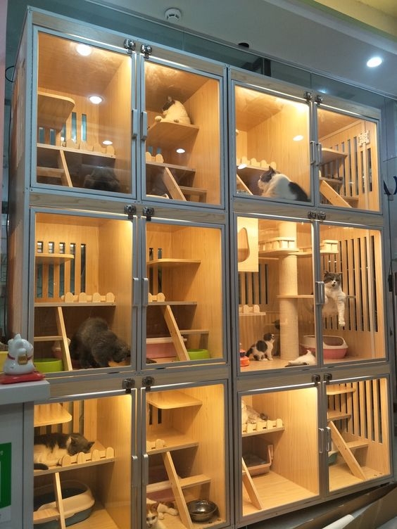 寵物酒店。
