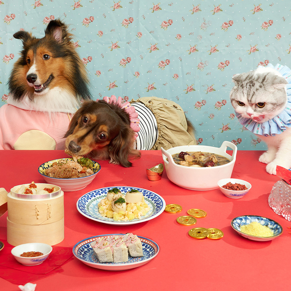 共6道菜色，全齡犬貓皆可食用。