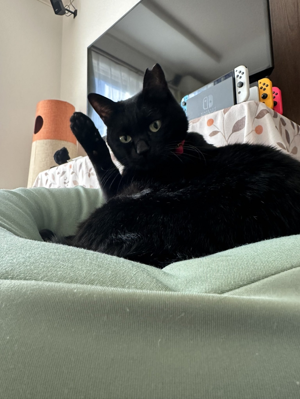 奴才：你什麼意思喔