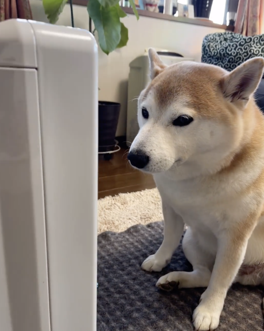 奴才：我的形象怎麼變這樣啊