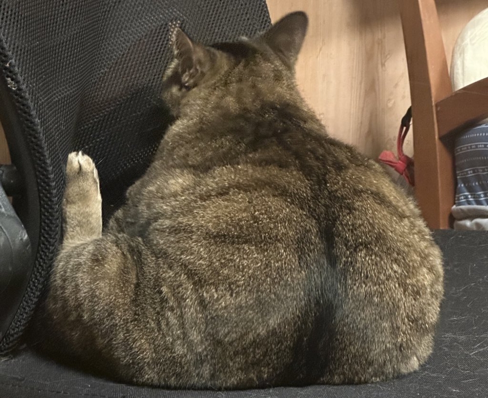 奴才：你的屁屁竟然是桃子形狀欸