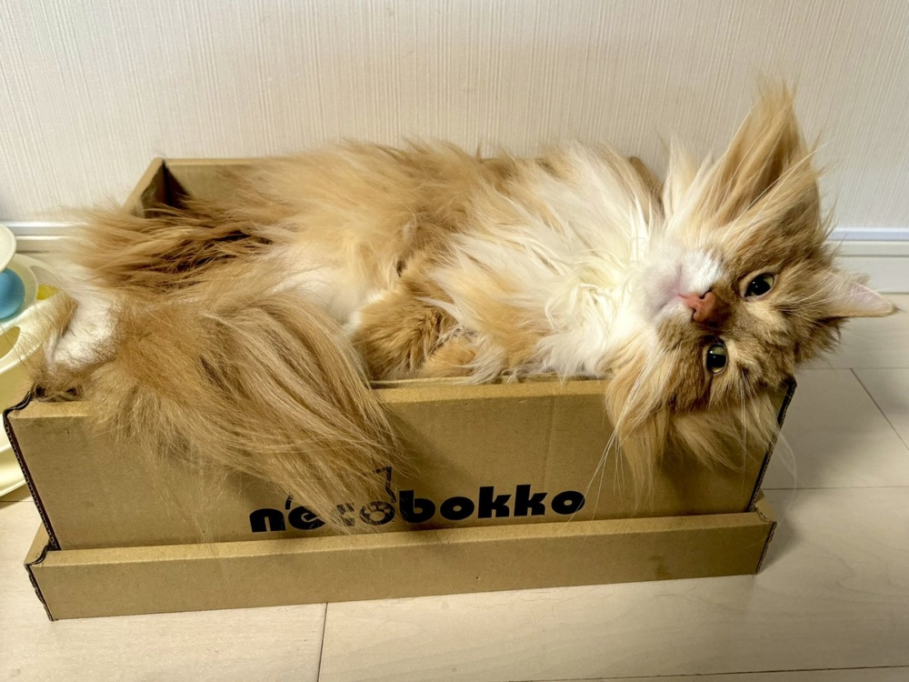 奴才：還是你大方