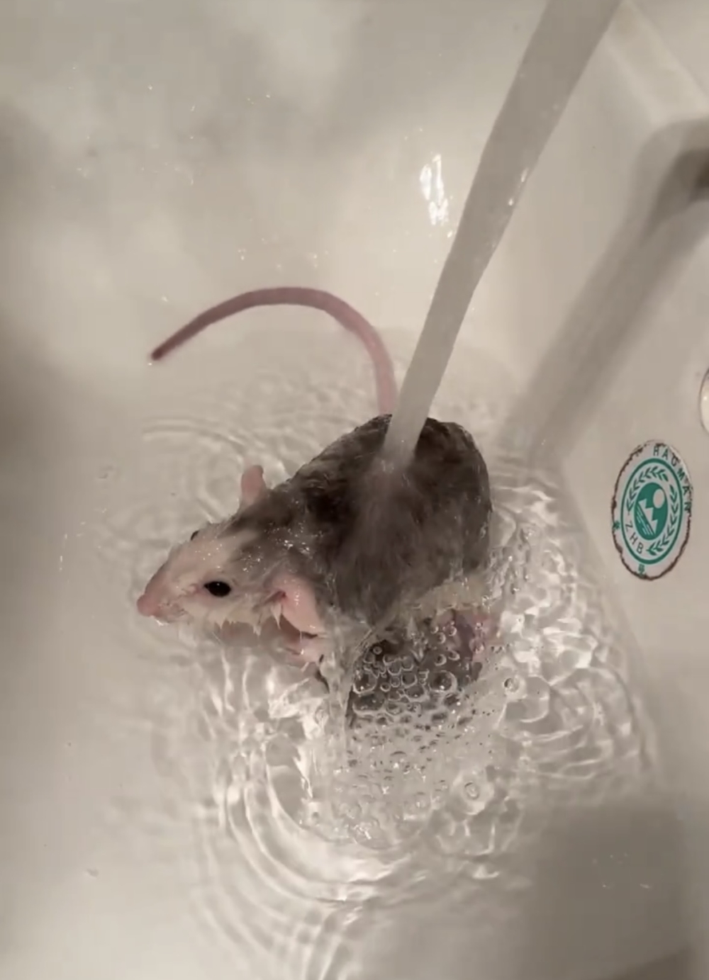 網：健康最重要