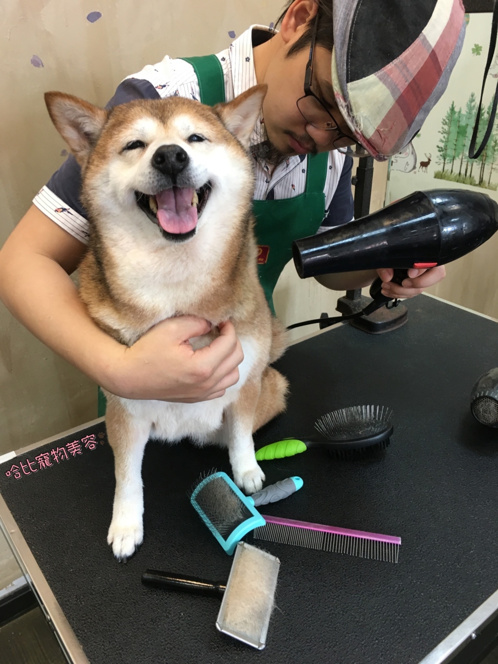 洗完澡,吹毛啦!