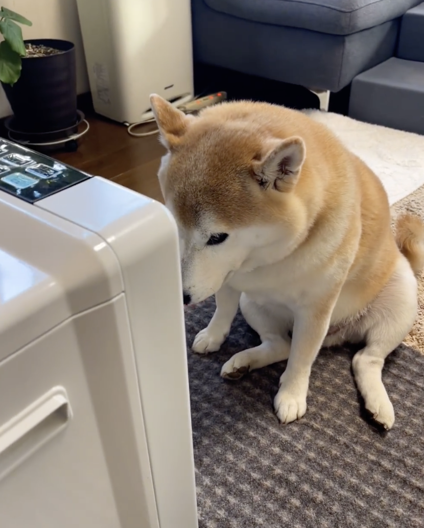 奴才：我是這樣的人嗎？