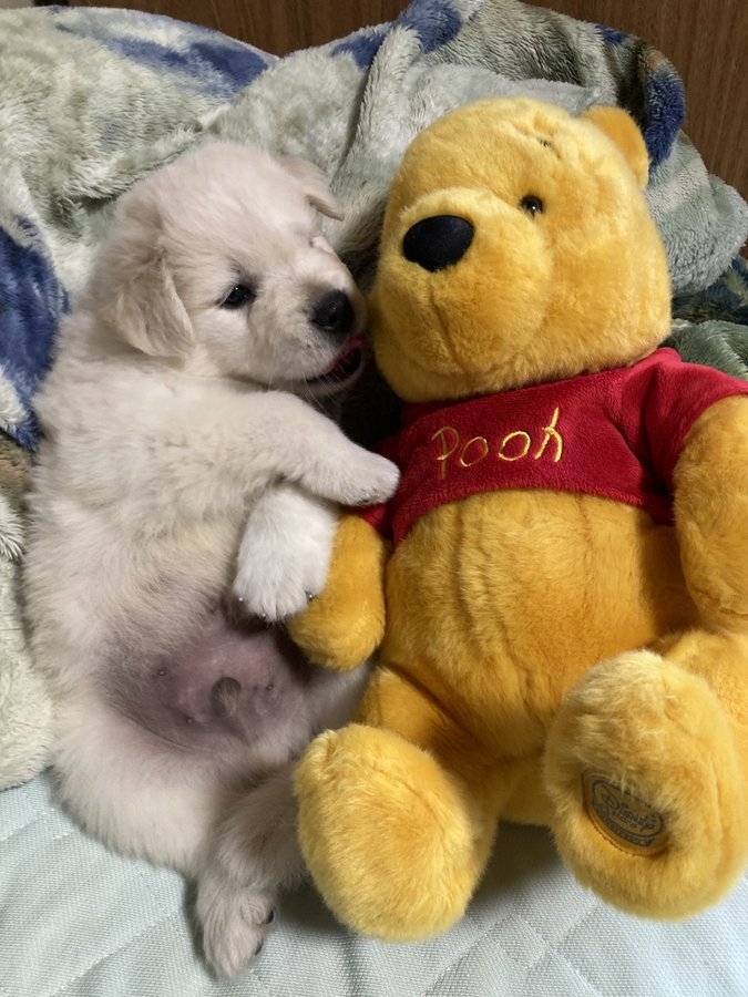 奴才：你們現在是最好的麻吉啦