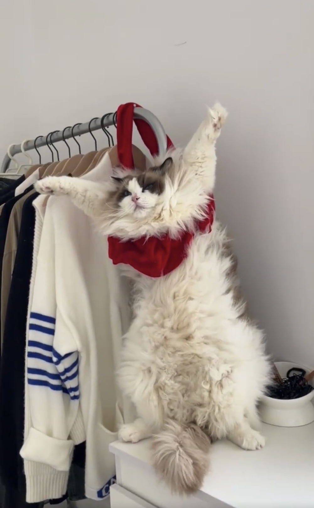 奴才:最後一次救你喔